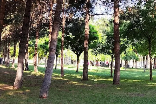 BAHÇE CAFE - Resim 2