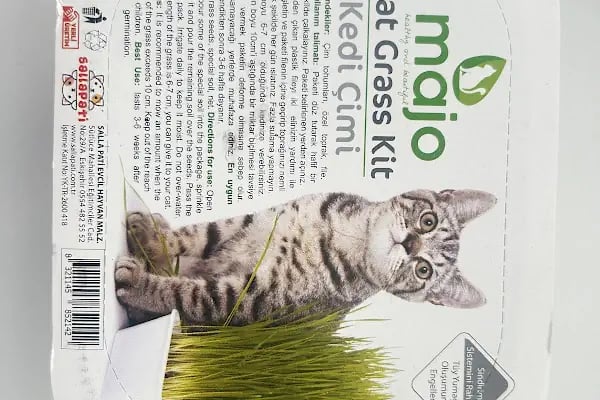 Miy Hav pet shop - Resim 10