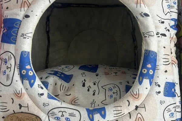 Miy Hav pet shop - Resim 12