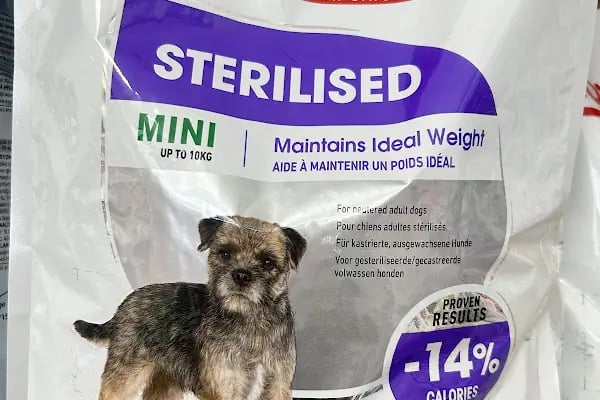 Miy Hav pet shop - Resim 6
