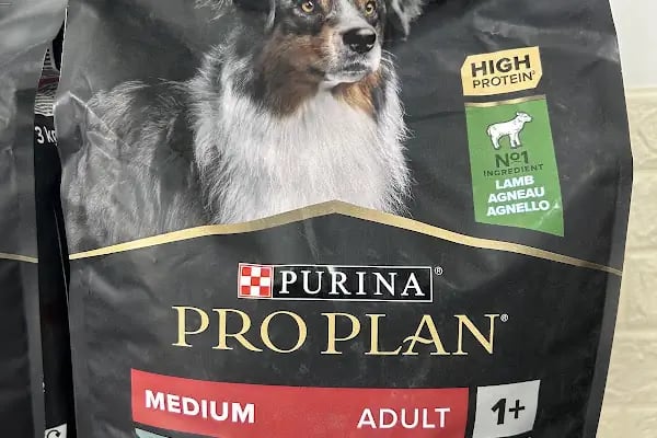 Miy Hav pet shop - Resim 19
