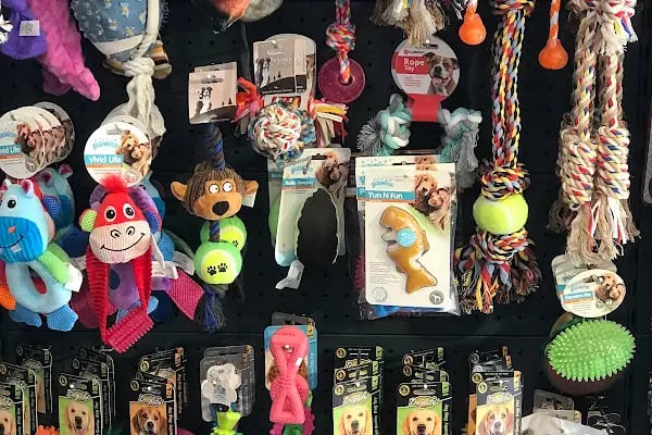 Hop Petshop - Resim 20