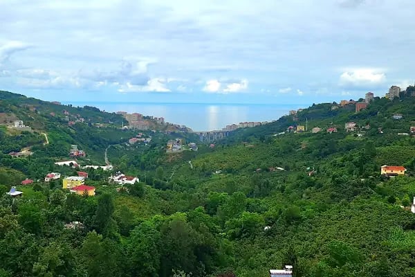Bengisu suites - Resim 3