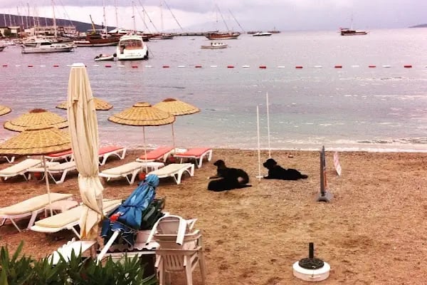 Yaşam Evleri - Resim 3