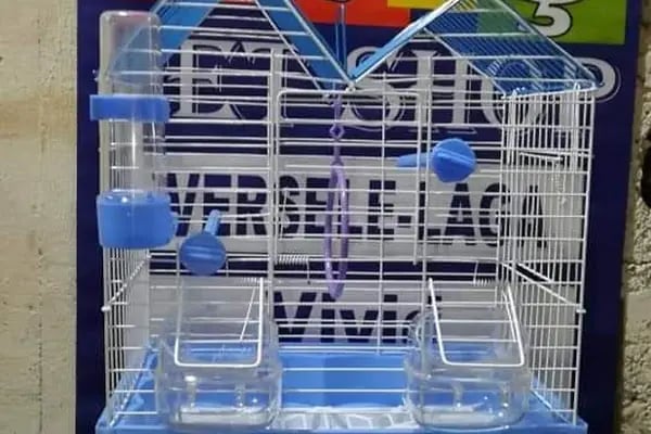 ALİŞ PET SHOP - Resim 9