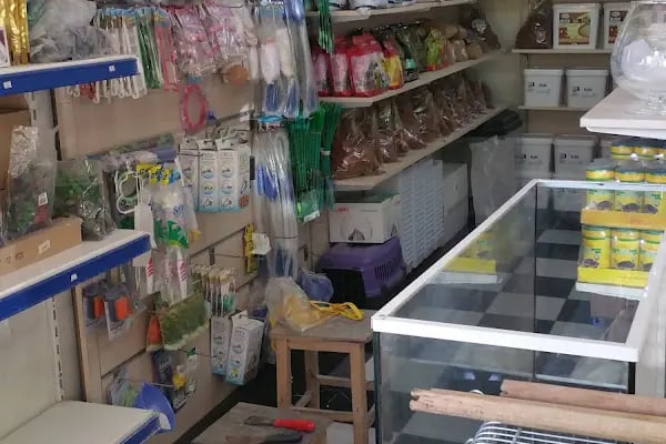 ALİŞ PET SHOP - Resim 15