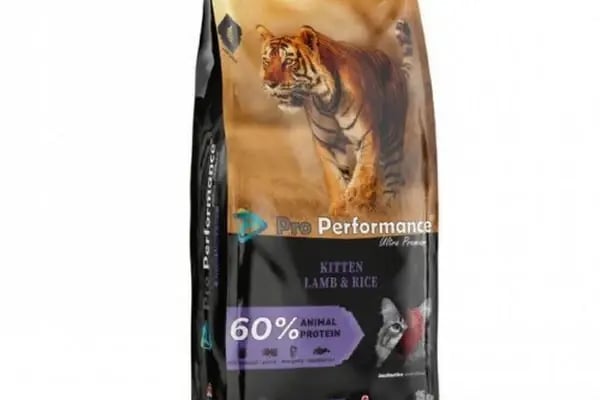 ALİŞ PET SHOP - Resim 14