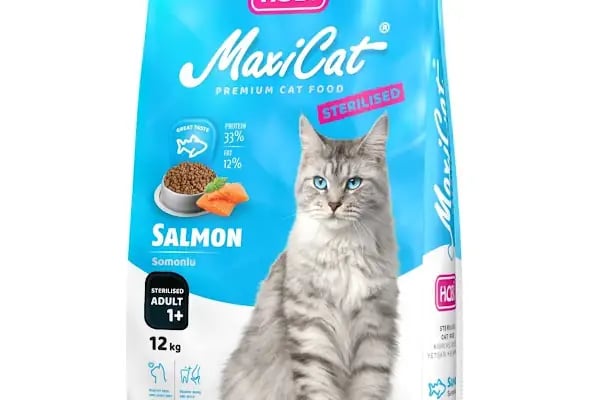 ALİŞ PET SHOP - Resim 13