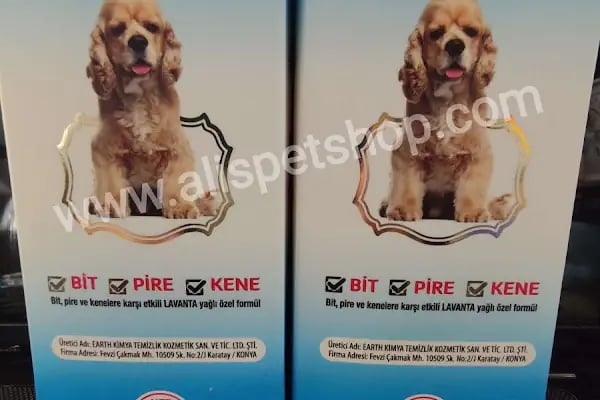 ALİŞ PET SHOP - Resim 8