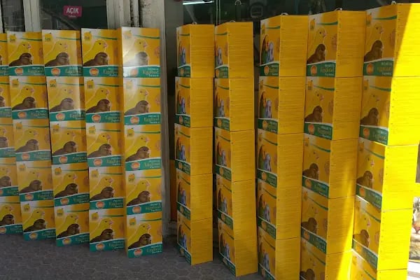 ALİŞ PET SHOP - Resim 20