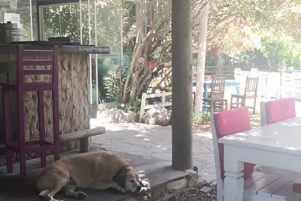 Muhtarın Yeri Restoran - Resim 20