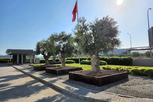 Anatolia Doğaltaş Seramik A.Ş. - Resim 7