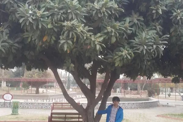 Kasaptaşı Parkı - Resim 19