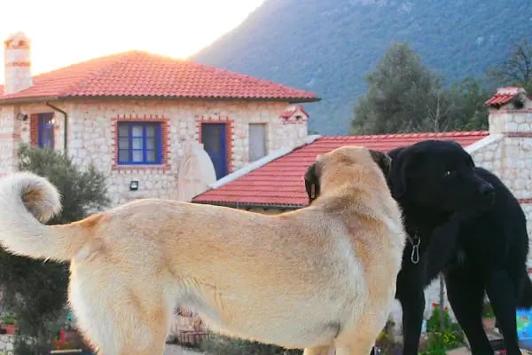 Şiir Ev Kekova / Poeme House - Resim 15