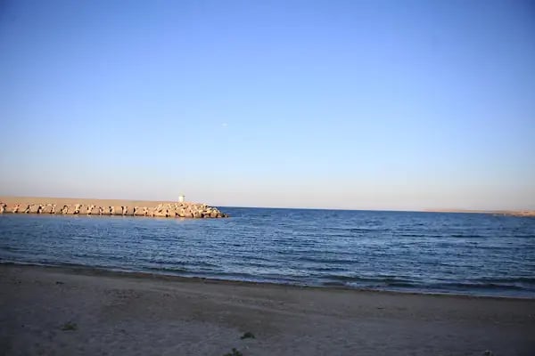 Hanımeli Balık Restaurant - Resim 9