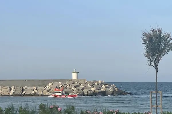 Hanımeli Balık Restaurant - Resim 8