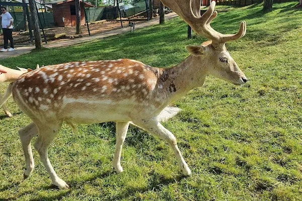Park Of İstanbul Doğa ve Yaşam Kompleksi | Çekmeköy Hayvan Rehabilitasyon Merkezi - Resim 12