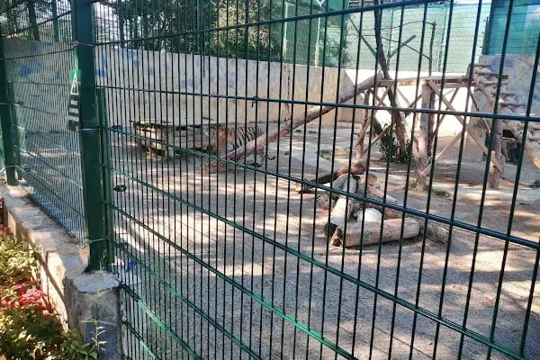 Park Of İstanbul Doğa ve Yaşam Kompleksi | Çekmeköy Hayvan Rehabilitasyon Merkezi - Resim 10