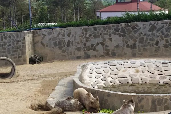 Park Of İstanbul Doğa ve Yaşam Kompleksi | Çekmeköy Hayvan Rehabilitasyon Merkezi - Resim 18