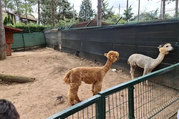 Park Of İstanbul Doğa ve Yaşam Kompleksi | Çekmeköy Hayvan Rehabilitasyon Merkezi - Resim 6