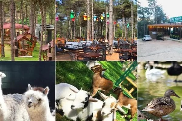 Park Of İstanbul Doğa ve Yaşam Kompleksi | Çekmeköy Hayvan Rehabilitasyon Merkezi - Resim 3