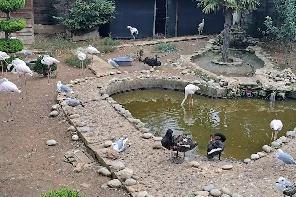 Park Of İstanbul Doğa ve Yaşam Kompleksi | Çekmeköy Hayvan Rehabilitasyon Merkezi - Resim 13