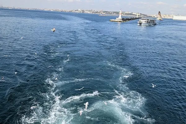 Büyükada KUMPİR - Resim 19