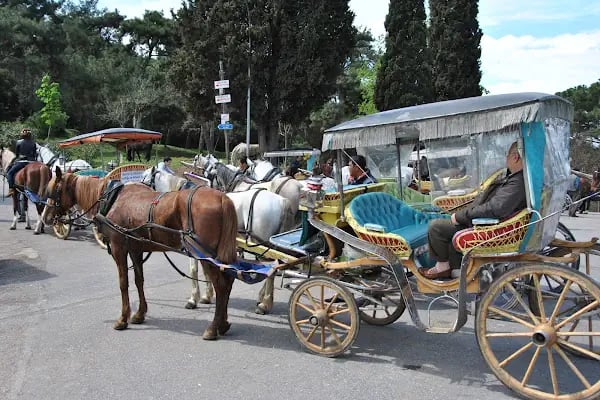 Büyükada KUMPİR - Resim 17