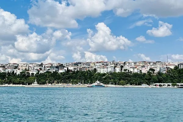 Büyükada KUMPİR - Resim 2
