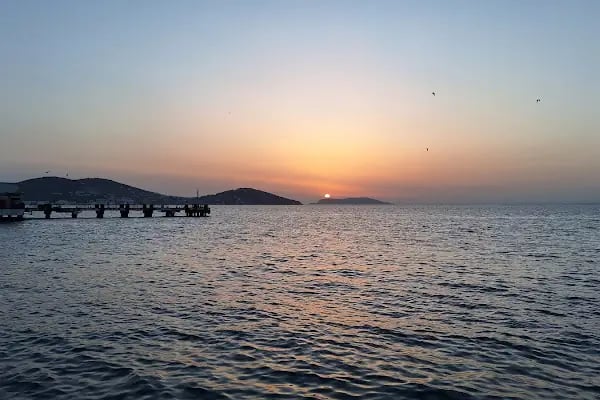 Büyükada KUMPİR - Resim 3