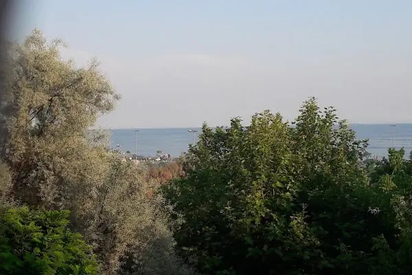 AVNİ BABA - Resim 19