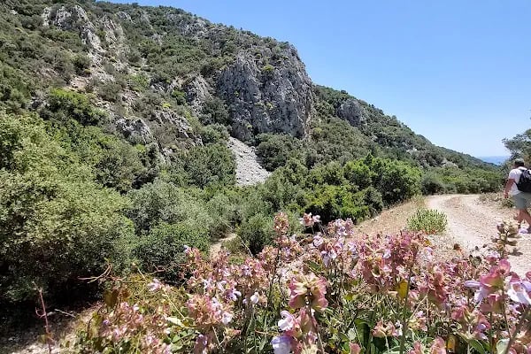Yağcılar Plajı - Resim 9