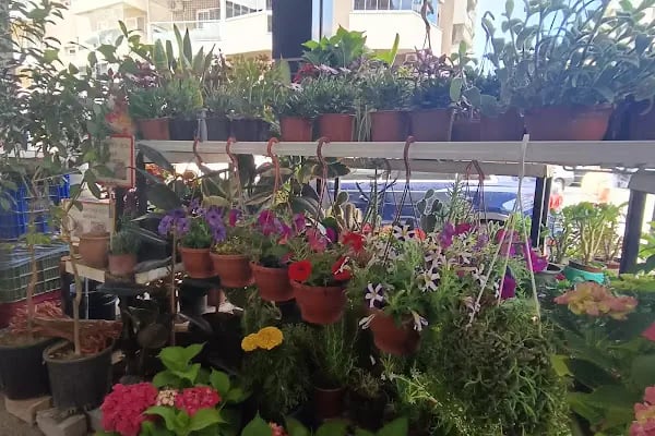 Mercan Market - Resim 18