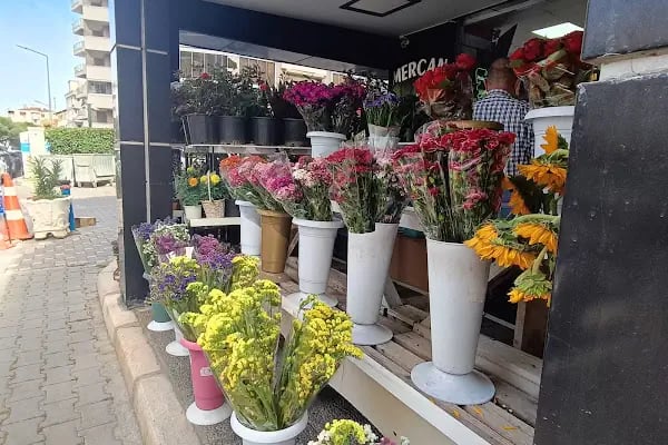 Mercan Market - Resim 17