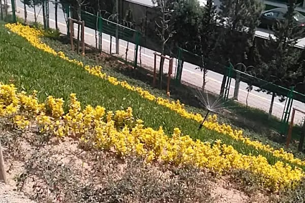 Opet İstoç - Resim 20