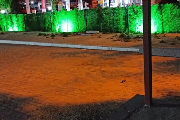 Koru Bahçe - Resim 4