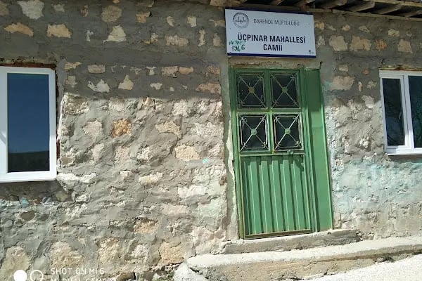 Üçpınar Köyü Muhtarlığı - Resim 3