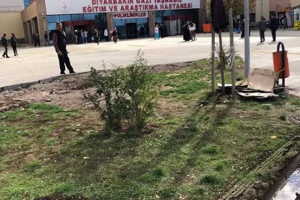 Sağlık Bilimleri Üniversitesi Gazi Yaşargil Eğitim ve Araştırma Hastanesi - Resim 2