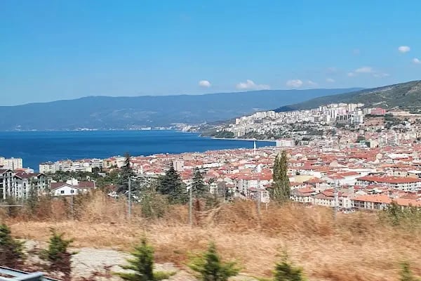 Gemlik Zeytin Hali - Resim 6