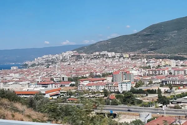 Gemlik Zeytin Hali - Resim 9