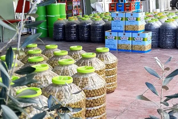 Gemlik Zeytin Hali - Resim 3