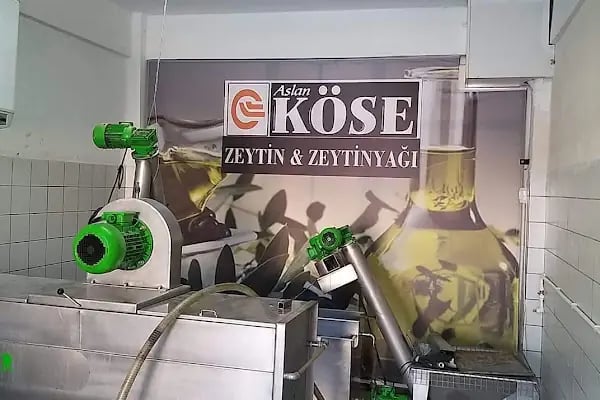 Gemlik Zeytin Hali - Resim 8