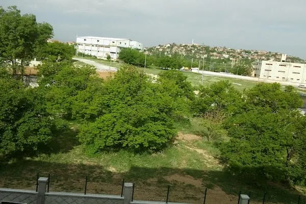Mavi Kalem Özel Eğitim Ve Rehabilitasyon Merkezi - Resim 2