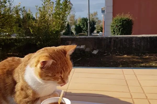 Sakarya Uygulamalı Bilimler Üniversitesi Teknoloji Fakültesi - Resim 5