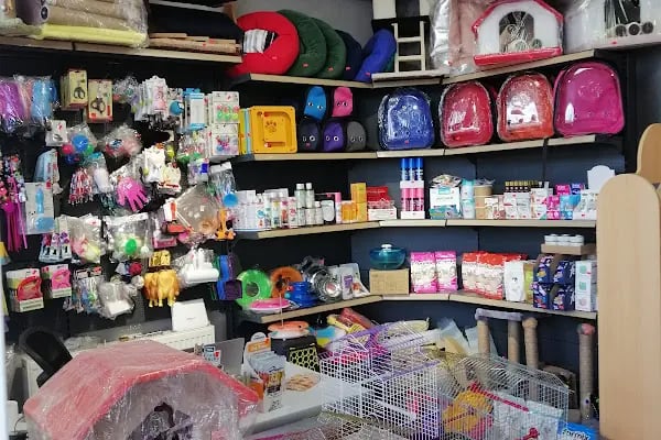 patika petshop - Resim 8