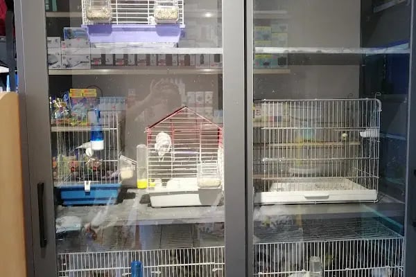 patika petshop - Resim 10