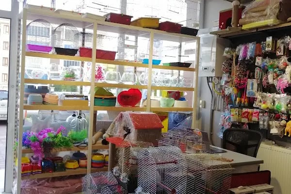 patika petshop - Resim 3