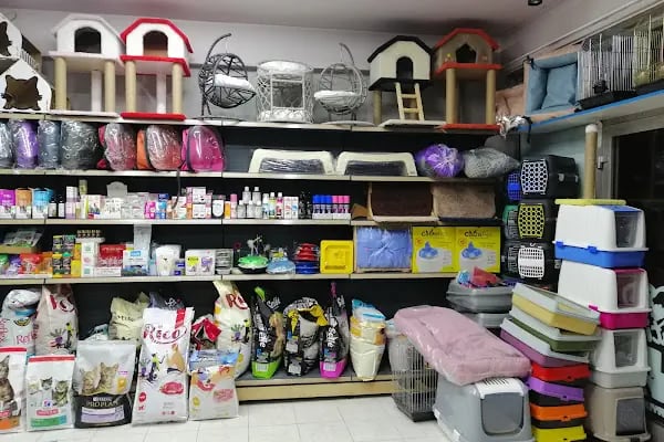 patika petshop - Resim 14