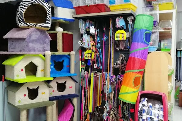 patika petshop - Resim 11