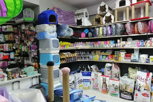 patika petshop - Resim 9